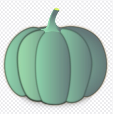 강아지 건강에 좋은 단호박