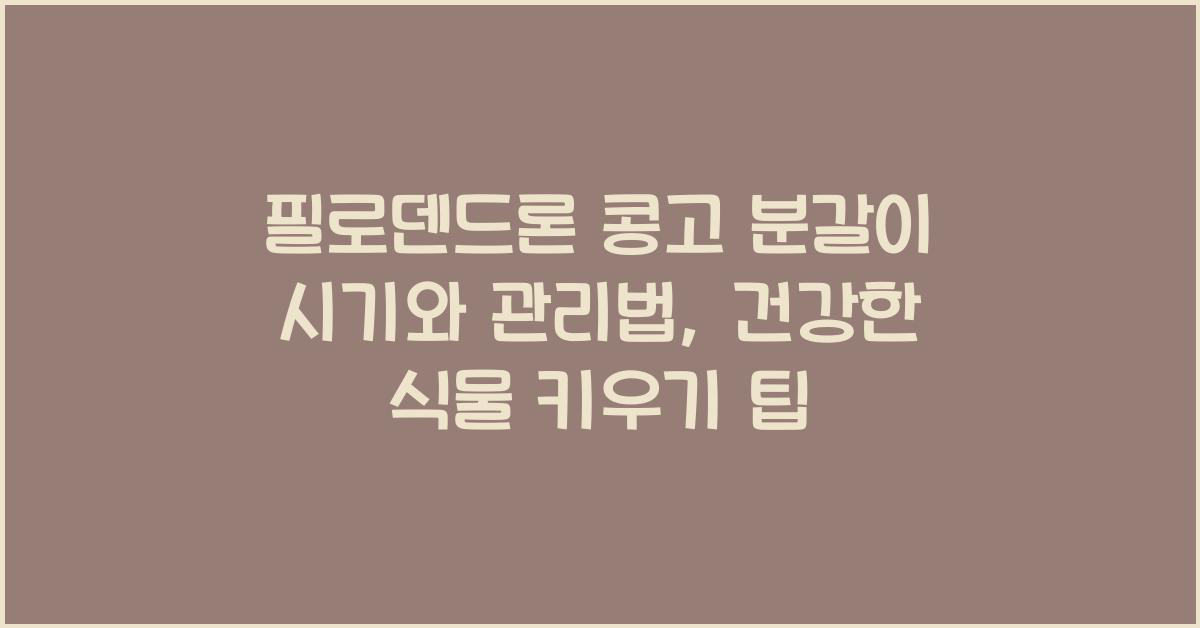 필로덴드론 콩고 분갈이 시기