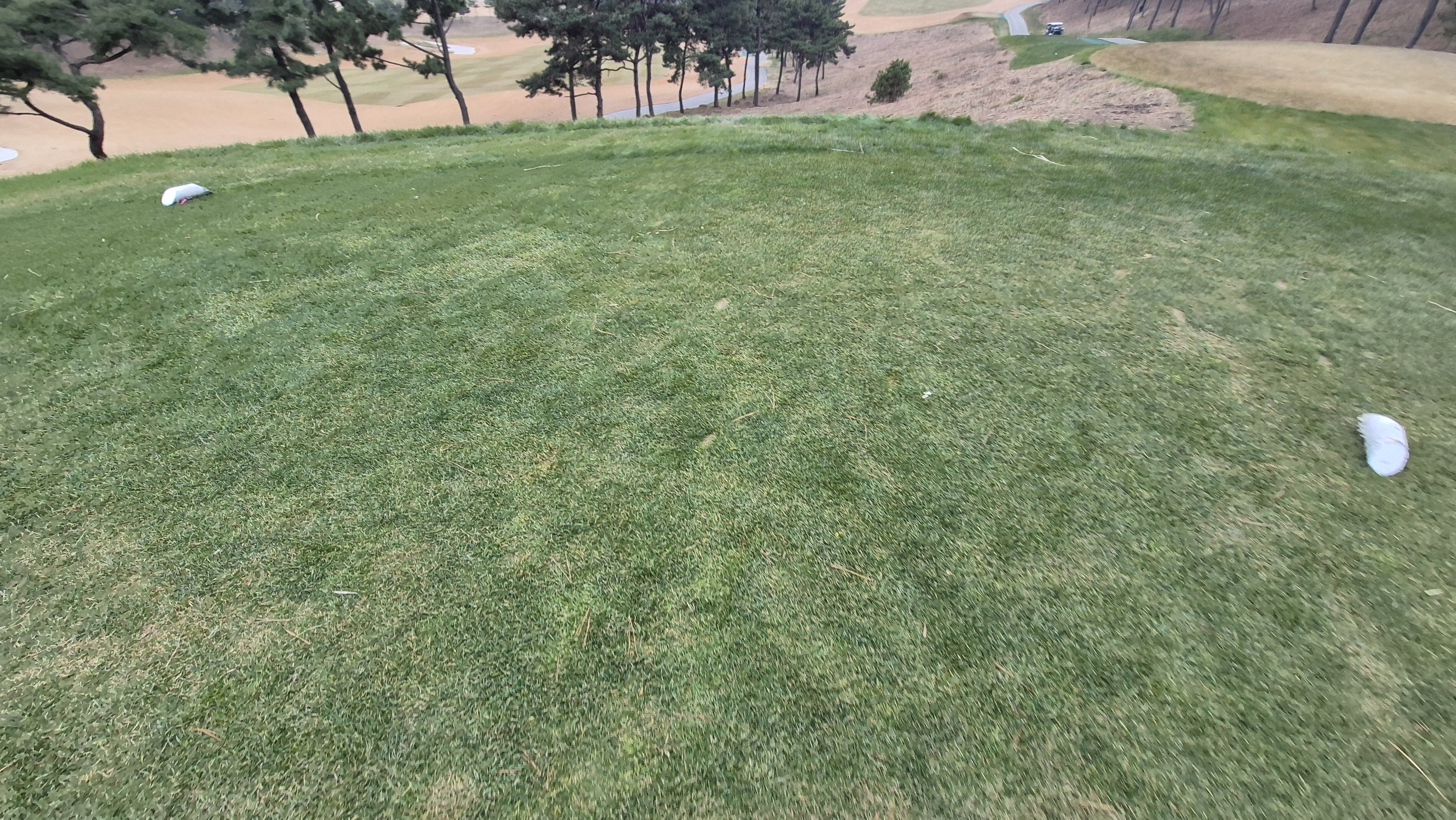 더헤븐cc 사우스-웨스트 코스 티잉구역 상태