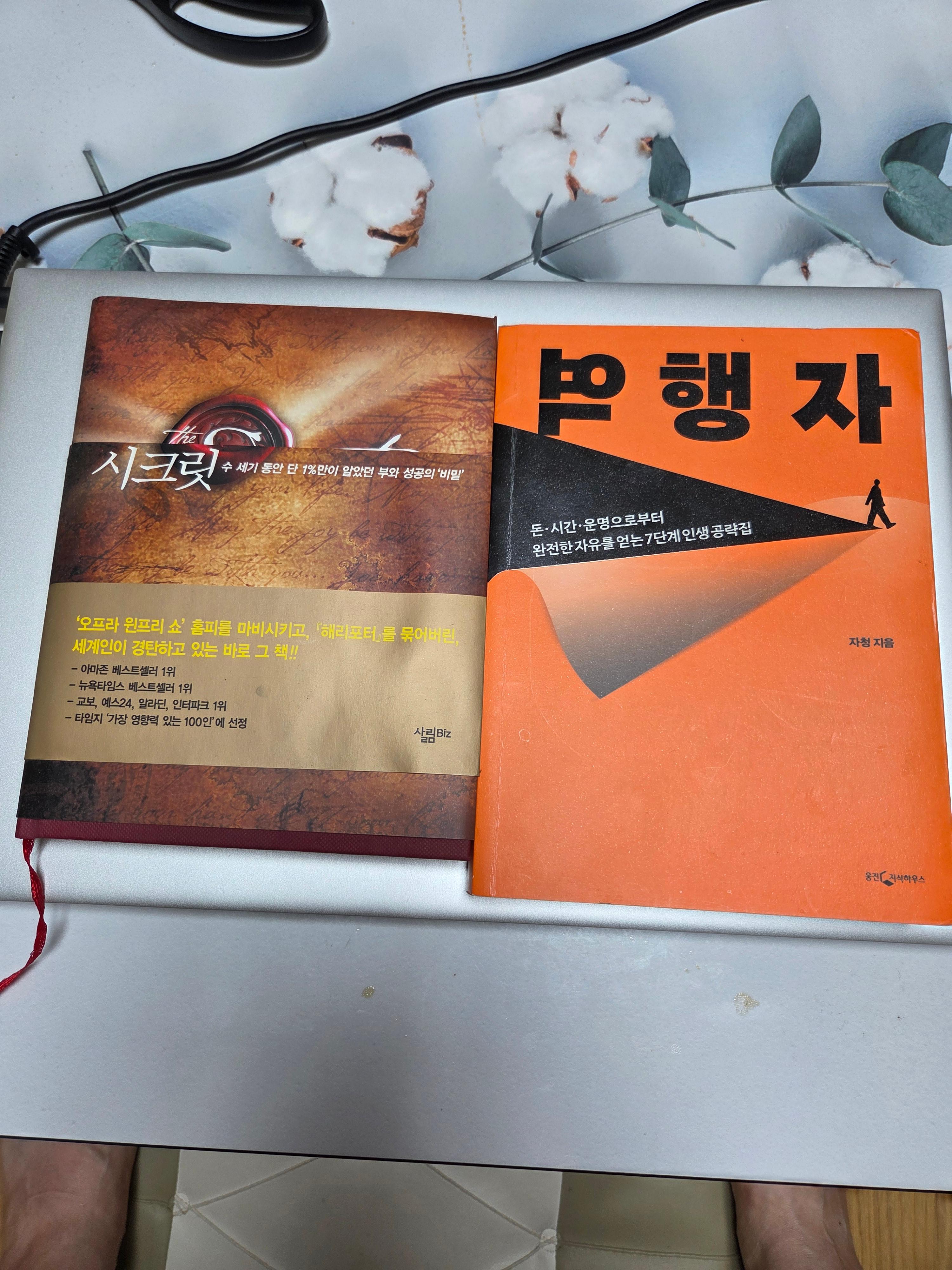 자기개발서 읽었던 역행자와 앞으로 읽게될 시크릿