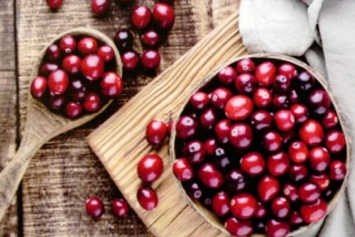 난소암에-좋은음식-크랜베리