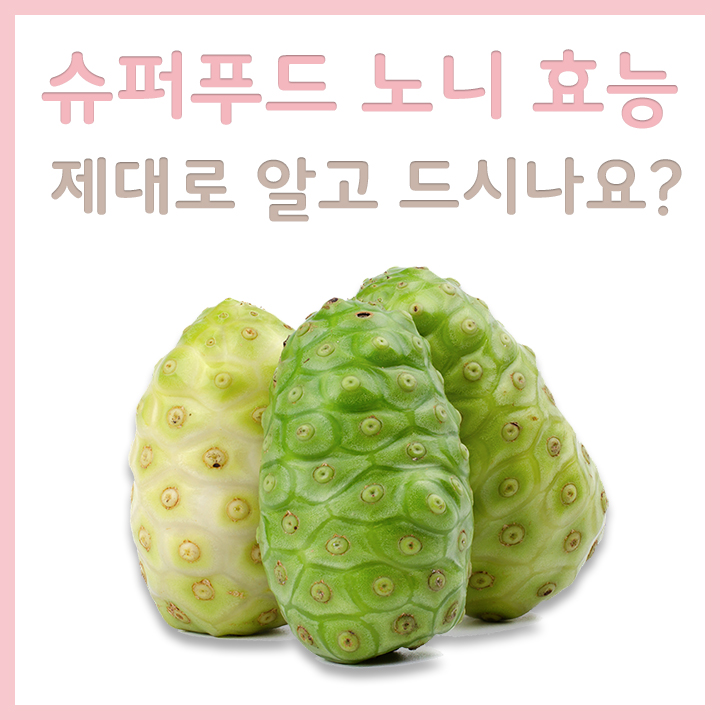 신선한-노니-모습