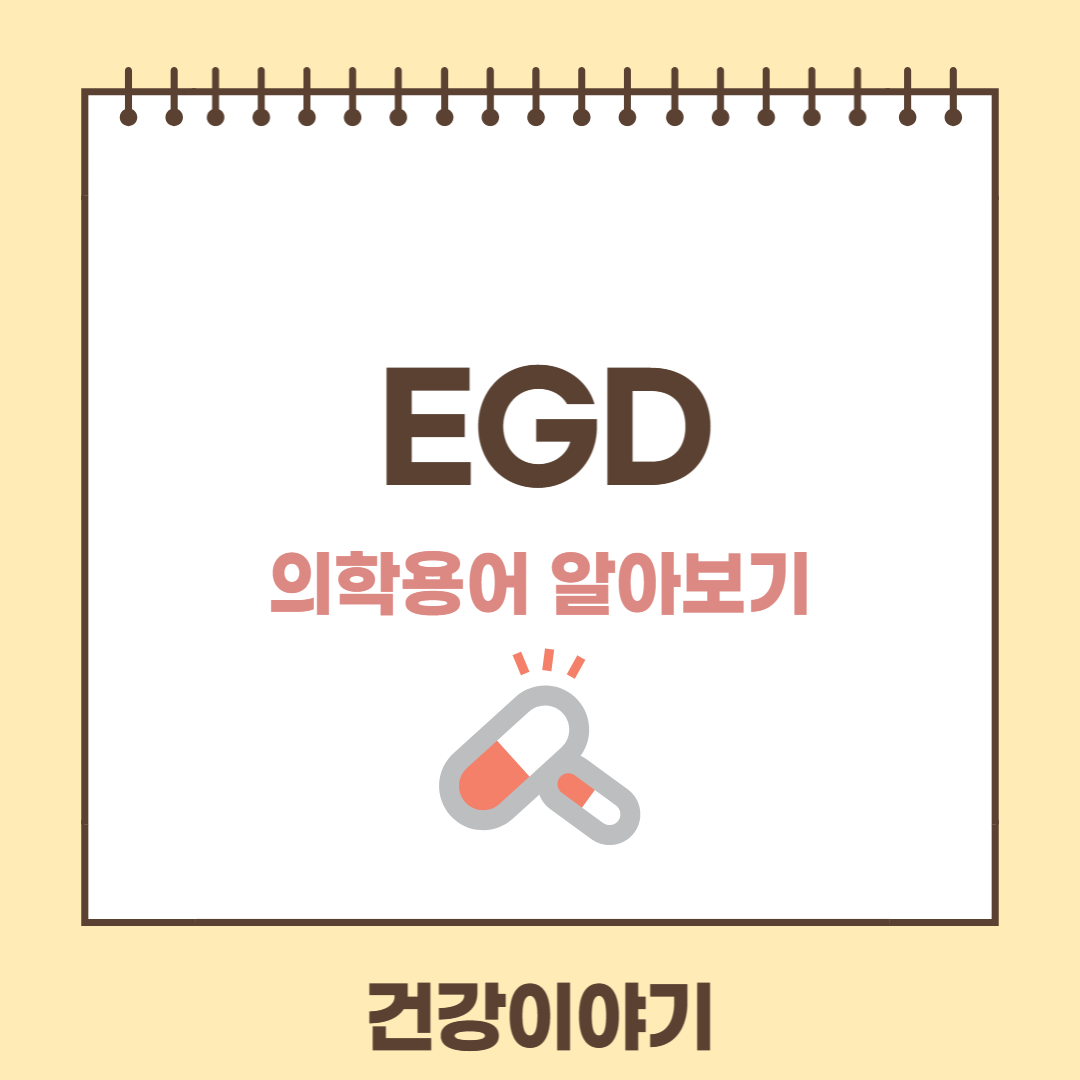의학용어 EGD에 대해