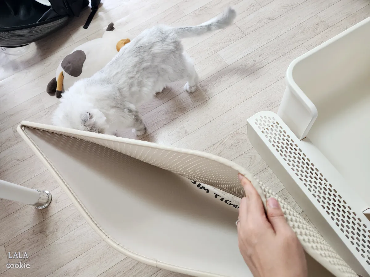 고양이-모래-매트-추천-모양-청소-용이