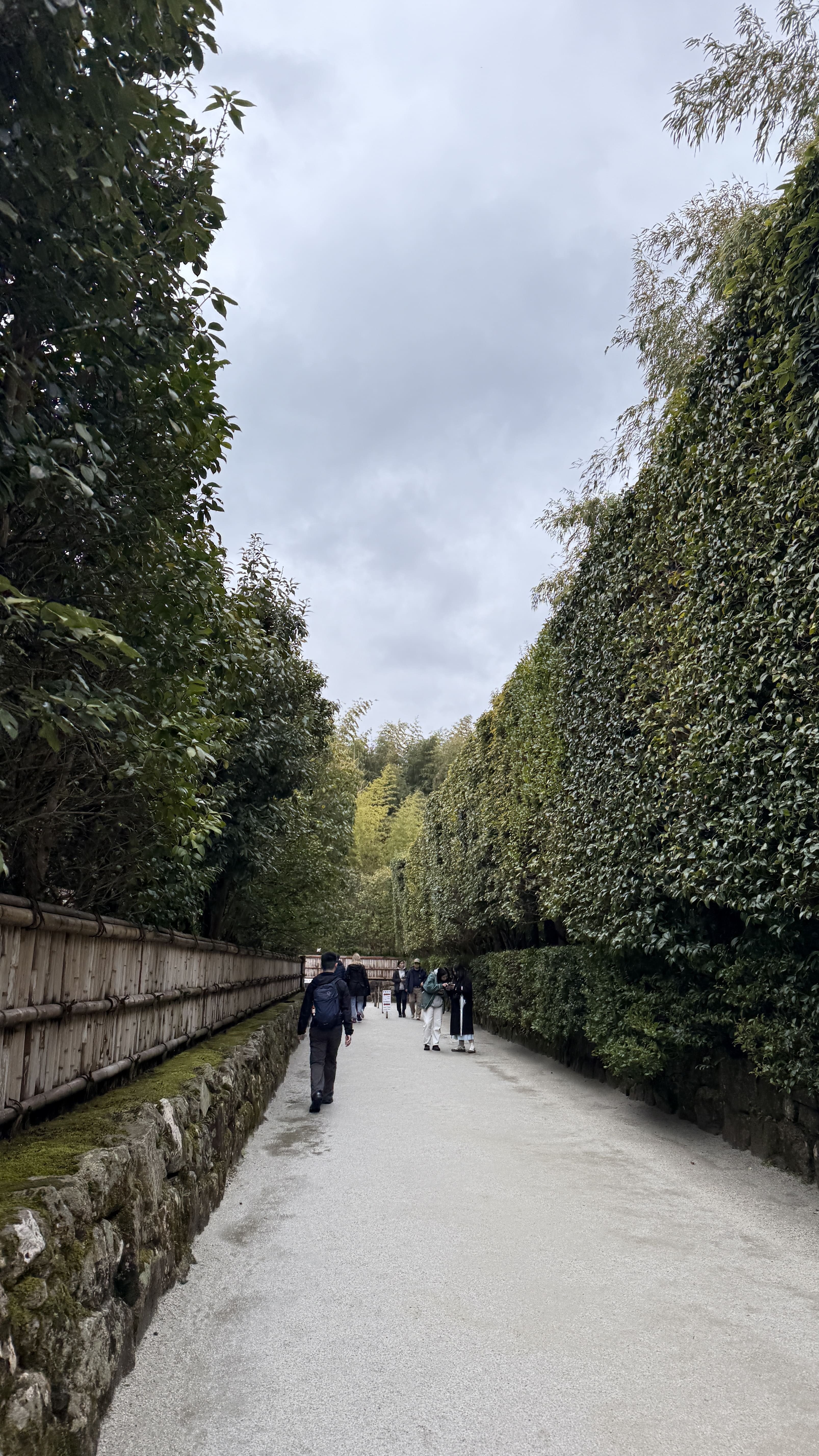 교토-꼭-가봐야-할-곳-교토-은각사-긴카쿠지- 철학의-길-조용한-산책-코스-추천