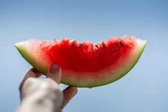 수박껍질 음식물쓰레기 헷갈리는 분들을 위한 정확한 정리_21