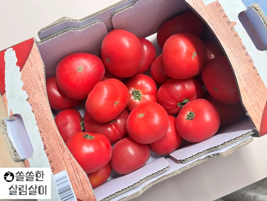 트레이더스 토마토