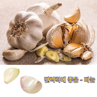 마늘