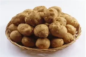 감자