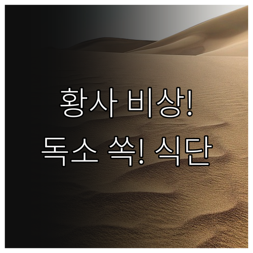 황사 주의보 상황별 대처법과 중금속 ..