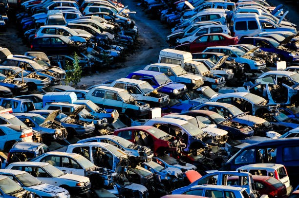 헤이딜러-폐차-후기