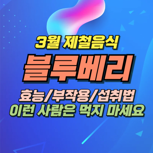 블루베리 효능 부작용