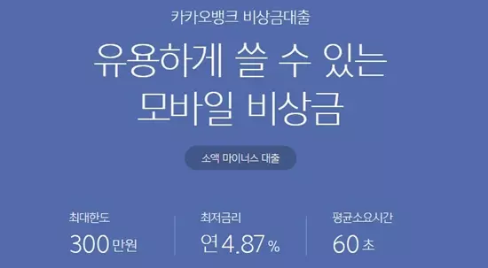 카카오뱅크 비상금대출 개요