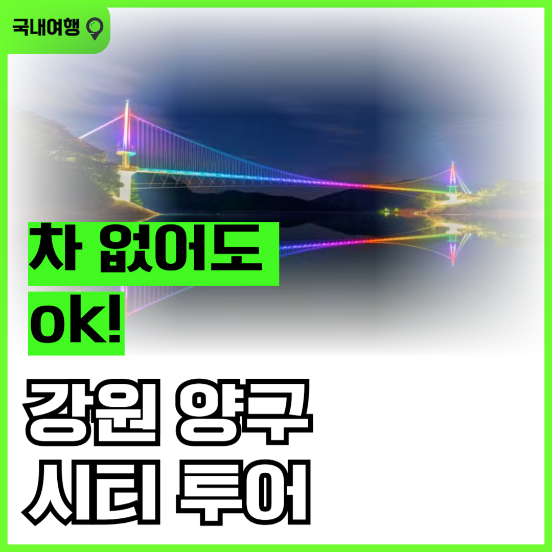 강원 양구 시티 투어