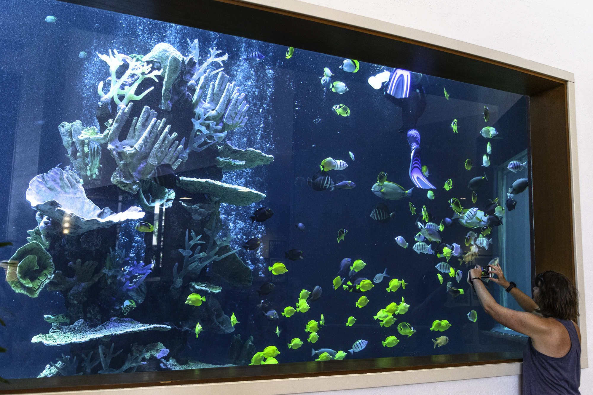 알로힐라니 리조트