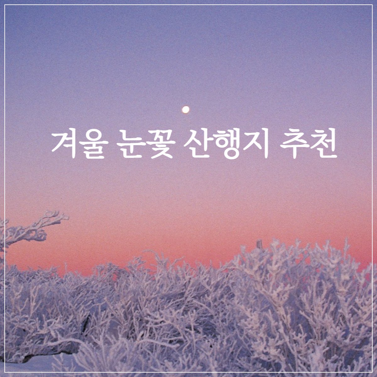 겨울 눈꽃 산행지 추천 대표사진