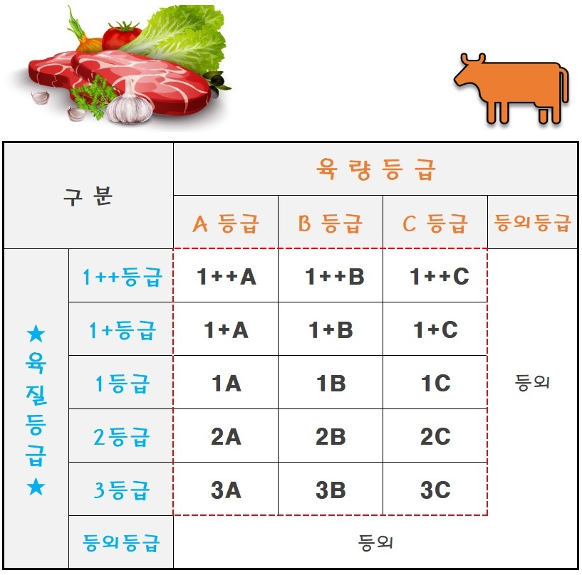 한우 소고기 최종 등급 표시