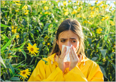 미세먼지와 꽃가루로 인해 알레르기 증상을 보이는 사람들