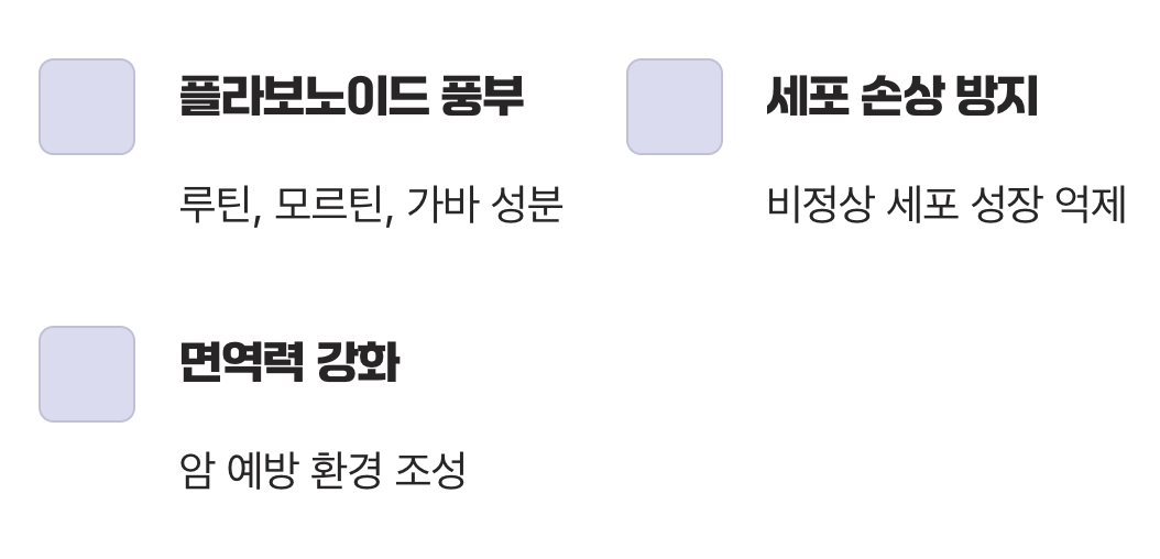 우리 몸의 방패, 면역력을 키우는 항암 효과