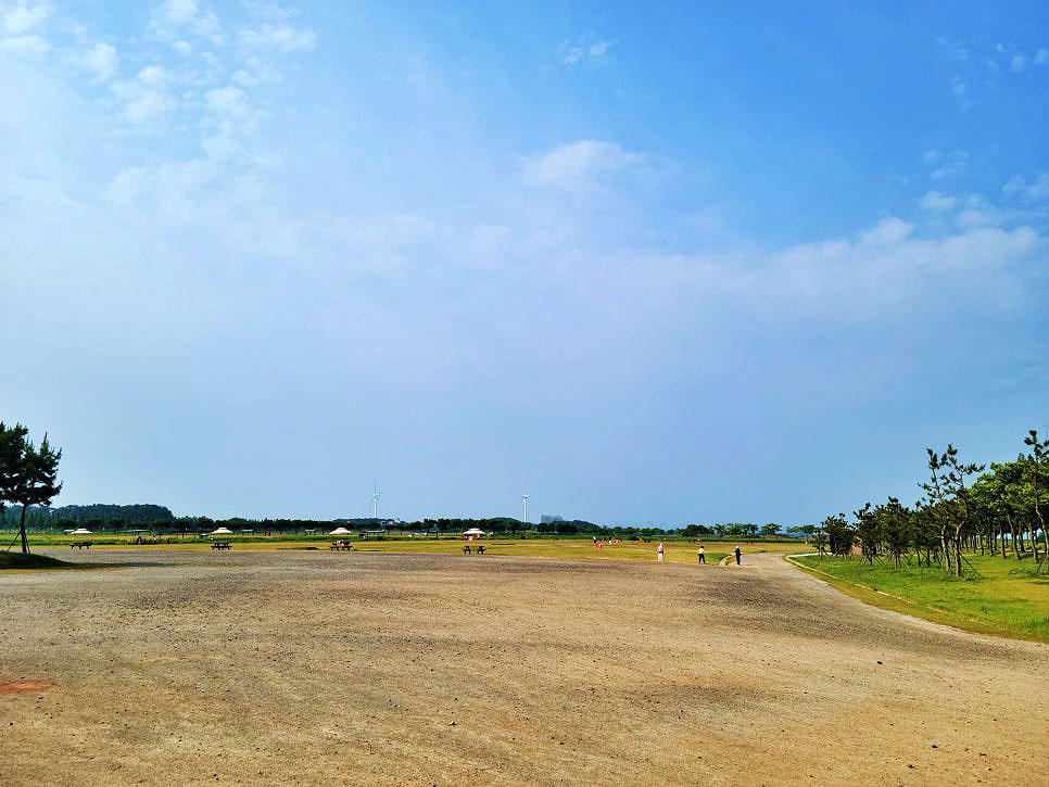 대부도파크골프장 (대부바다향기테마파크 페스티벌파크,
메타세콰이어길 파크골프장)