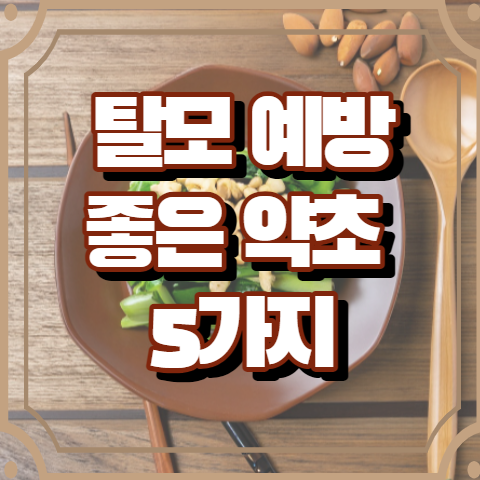 탈모에 좋은 약초 5가지