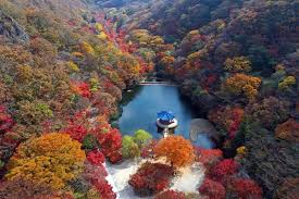 내장산 단풍 절정시기