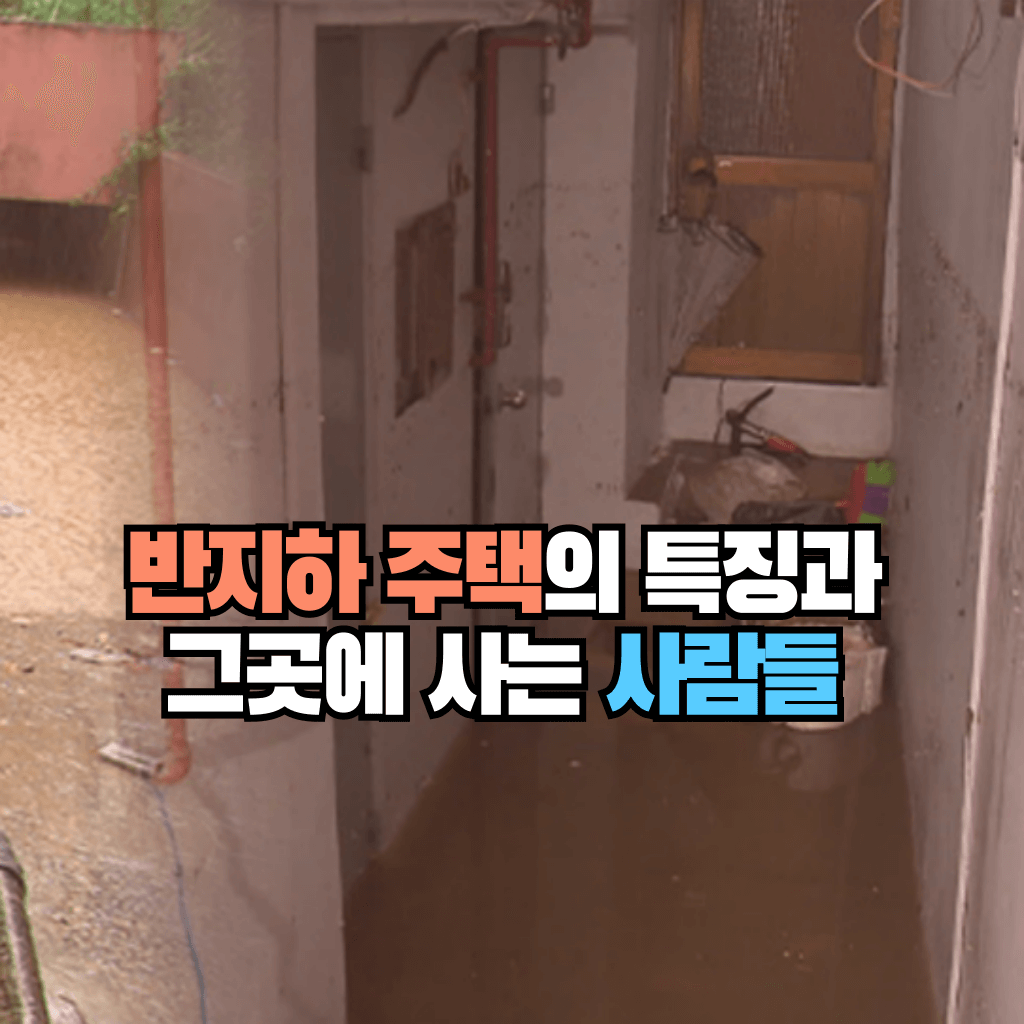 반지하 주택의 특징과 그곳에 사는 사람들