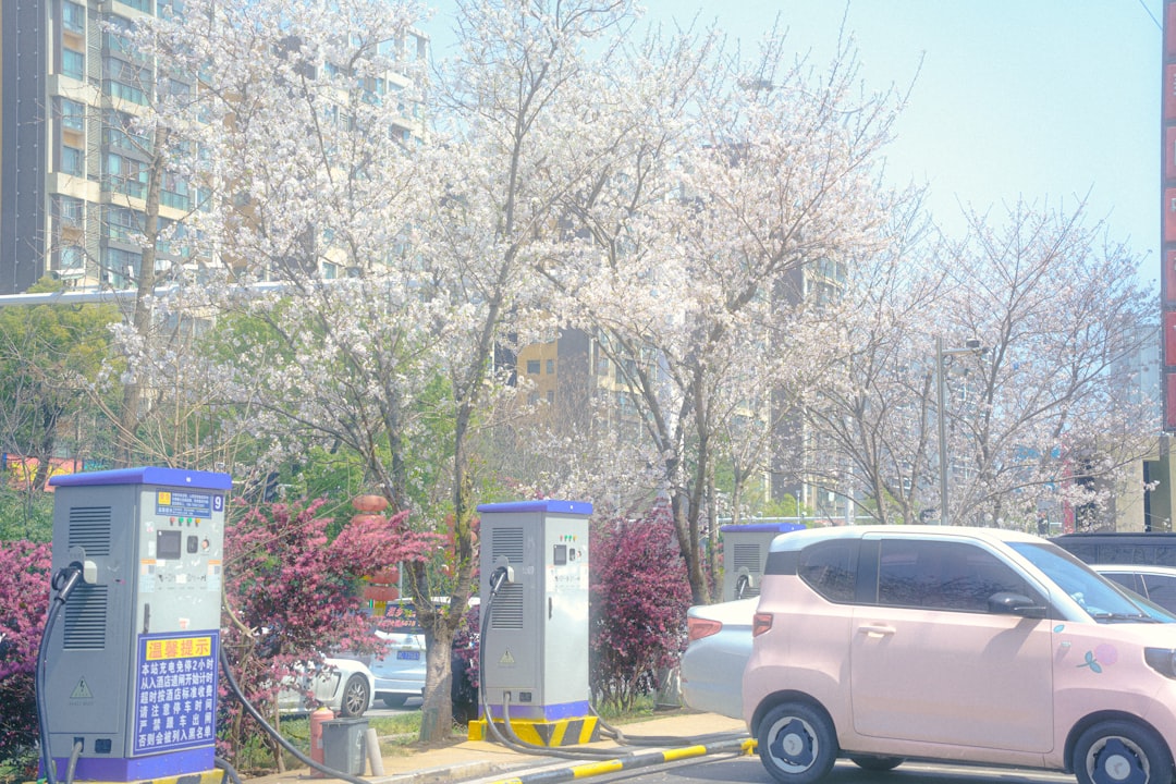 Korea Electric Power Corporation (KEPCO)