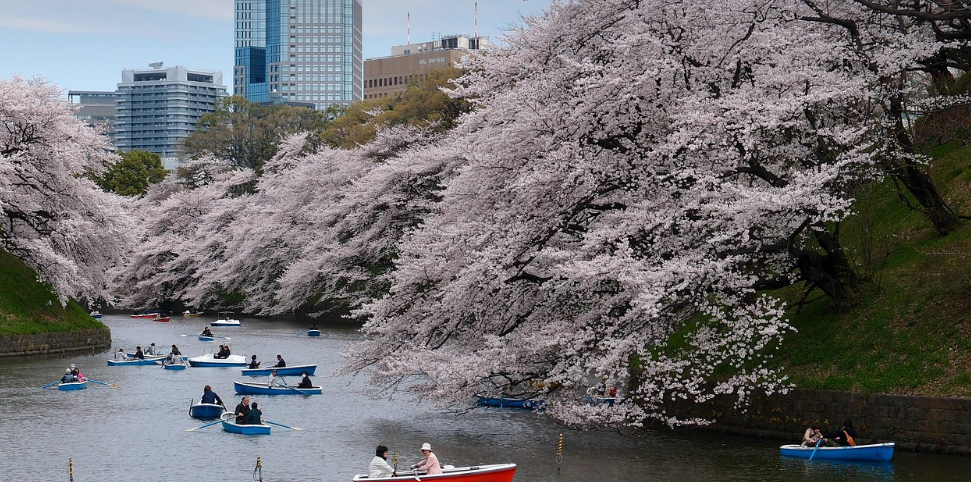 가을 시즌 일본여행 코스 이미지