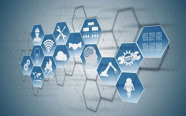 구글 코어 업데이트와 SEO 대응 전략