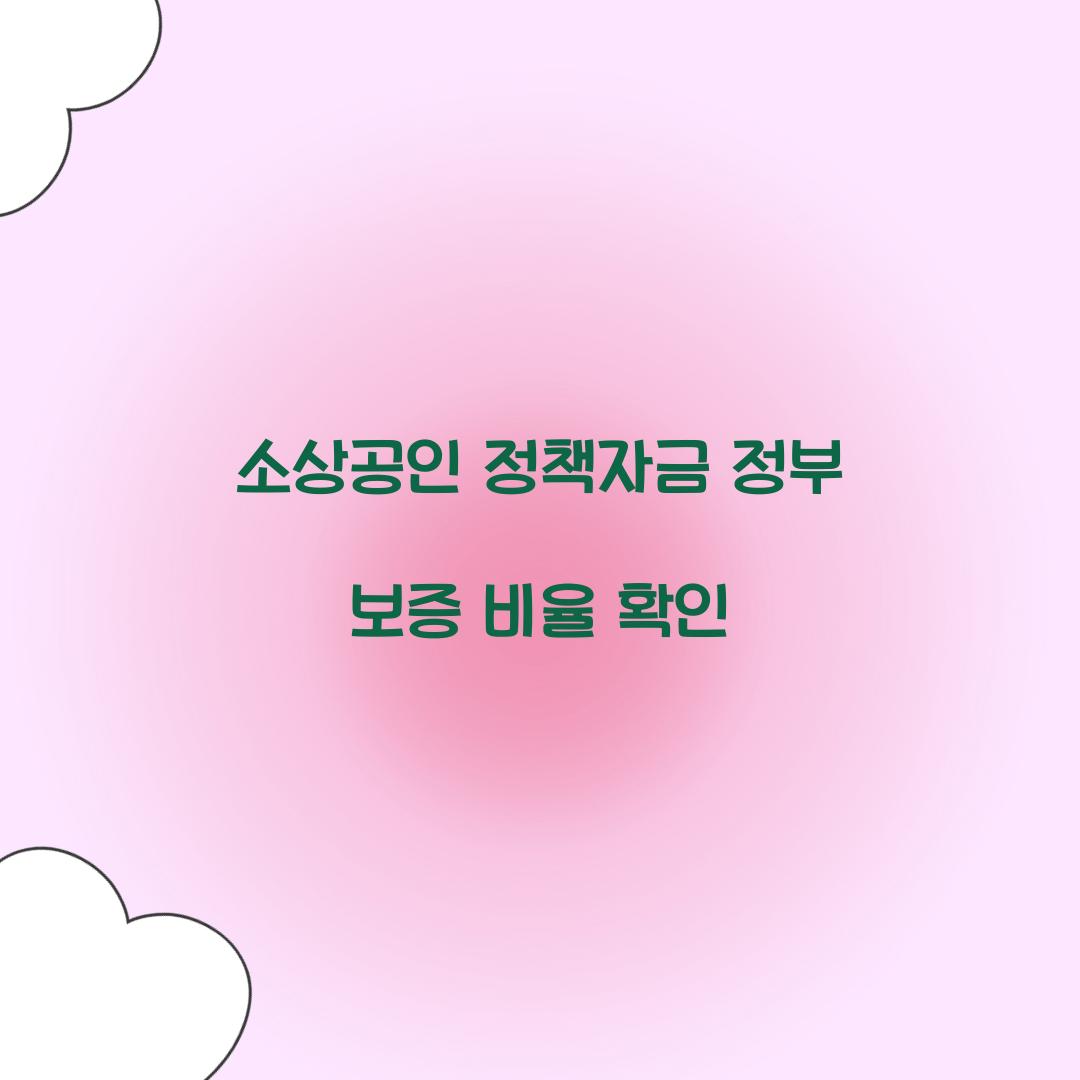소상공인 정책자금 정부 보증 비율 확인