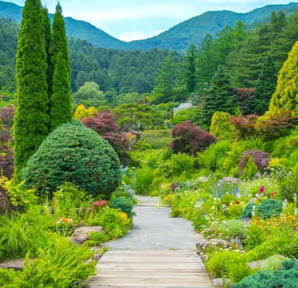 아침고요수목원 &amp; 쁘띠프랑스