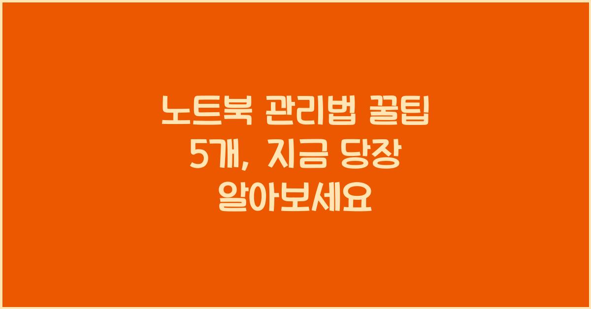 노트북 관리법 꿀팁 5개