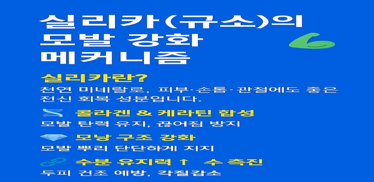 “실리카의 모발 강화 메커니즘을 설명한 인포그래픽 이미지”