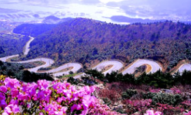 흑산도-배시간표