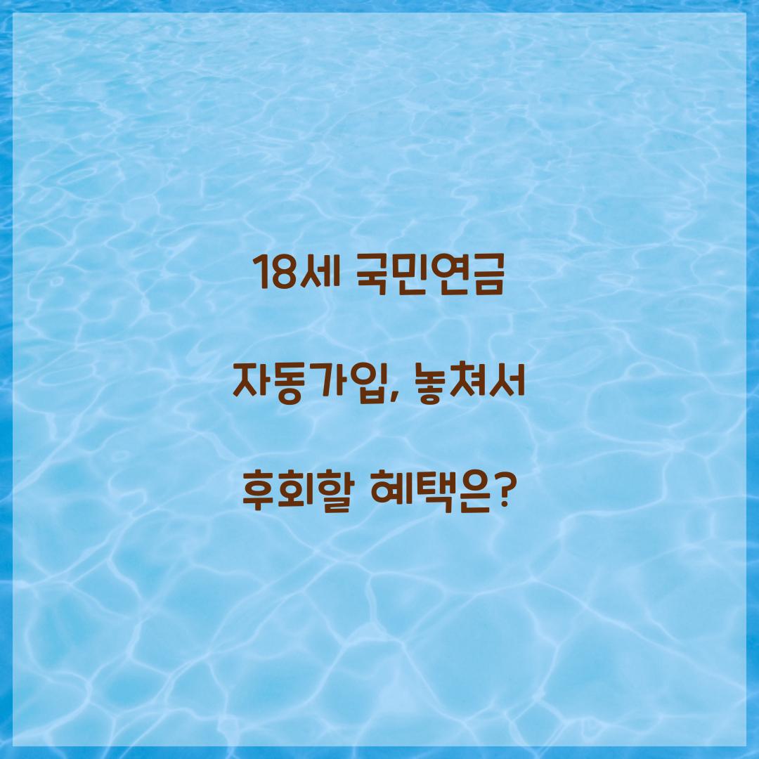 18세 국민연금 자동가입