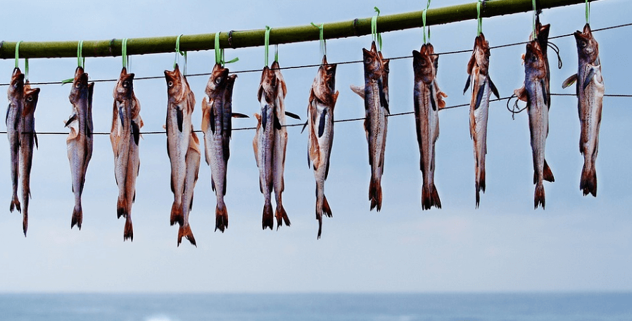 1월 제철 음식 명태를 말리고 있는 모습