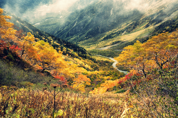 단풍 축제 명소