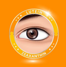 루테인 복용시간