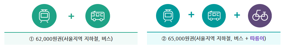 기후동행카드 가격