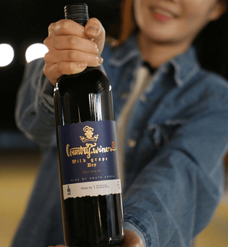 [6시 내고향] 영동 와인 택배 주문 판매 컨츄리 와이너리