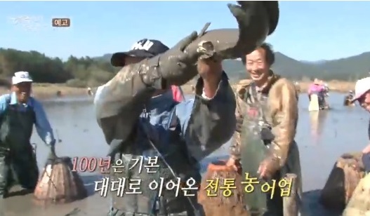 한국인의밥상-대부도