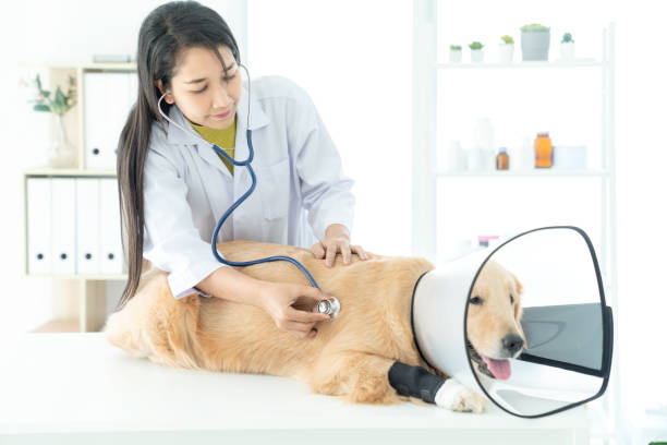 심장병 예방을 위한 식단 및 생활 습관