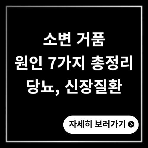 소변 거품 원인 7가지 총정리 당뇨, 신장질환 구분 기준