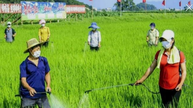 일본-뇌염-예방접종-시기
