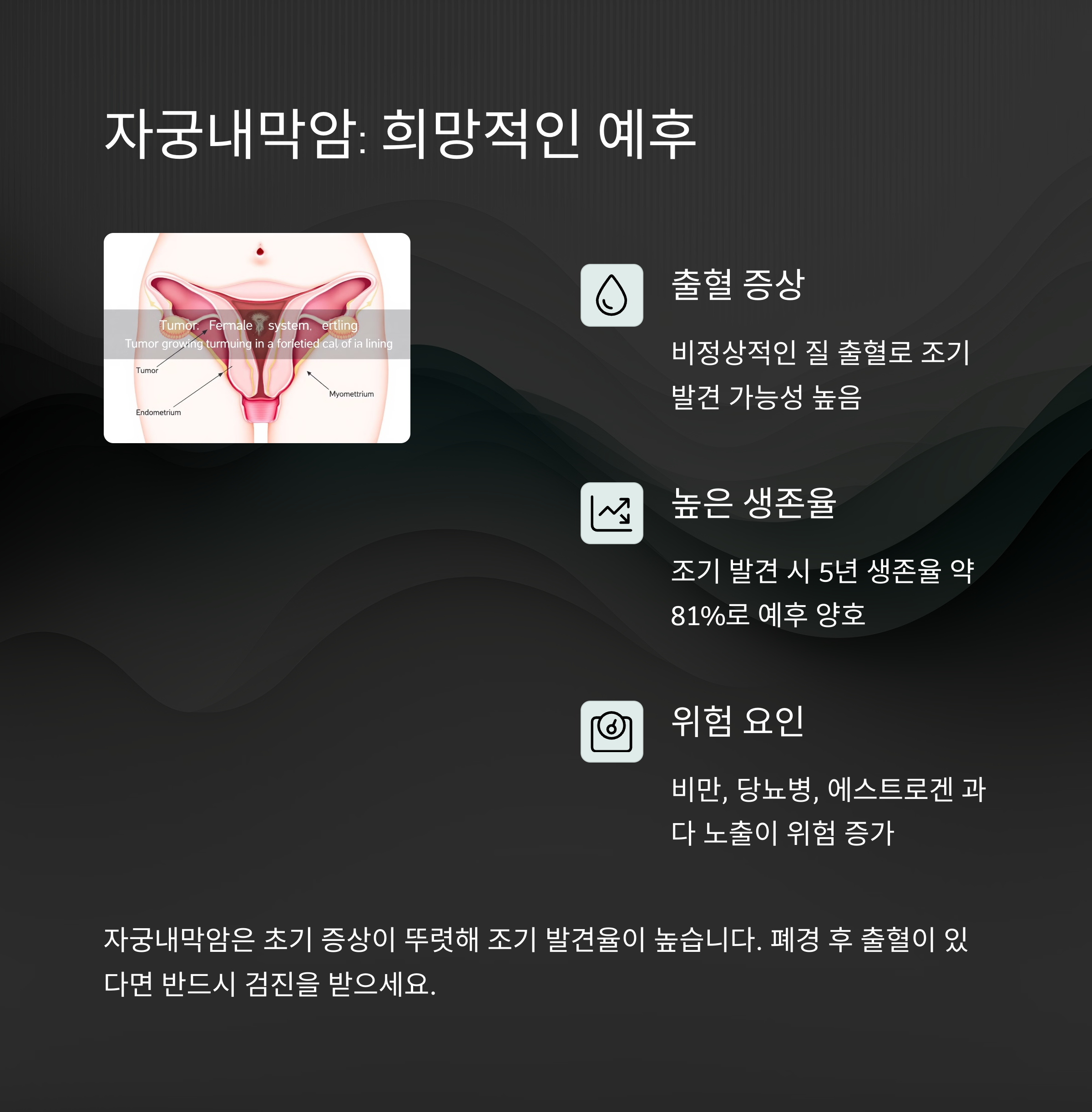 여성암 5종 완전 분석: 난소암과 자궁암의 진짜 차이