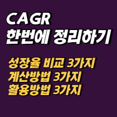 CAGR 계산