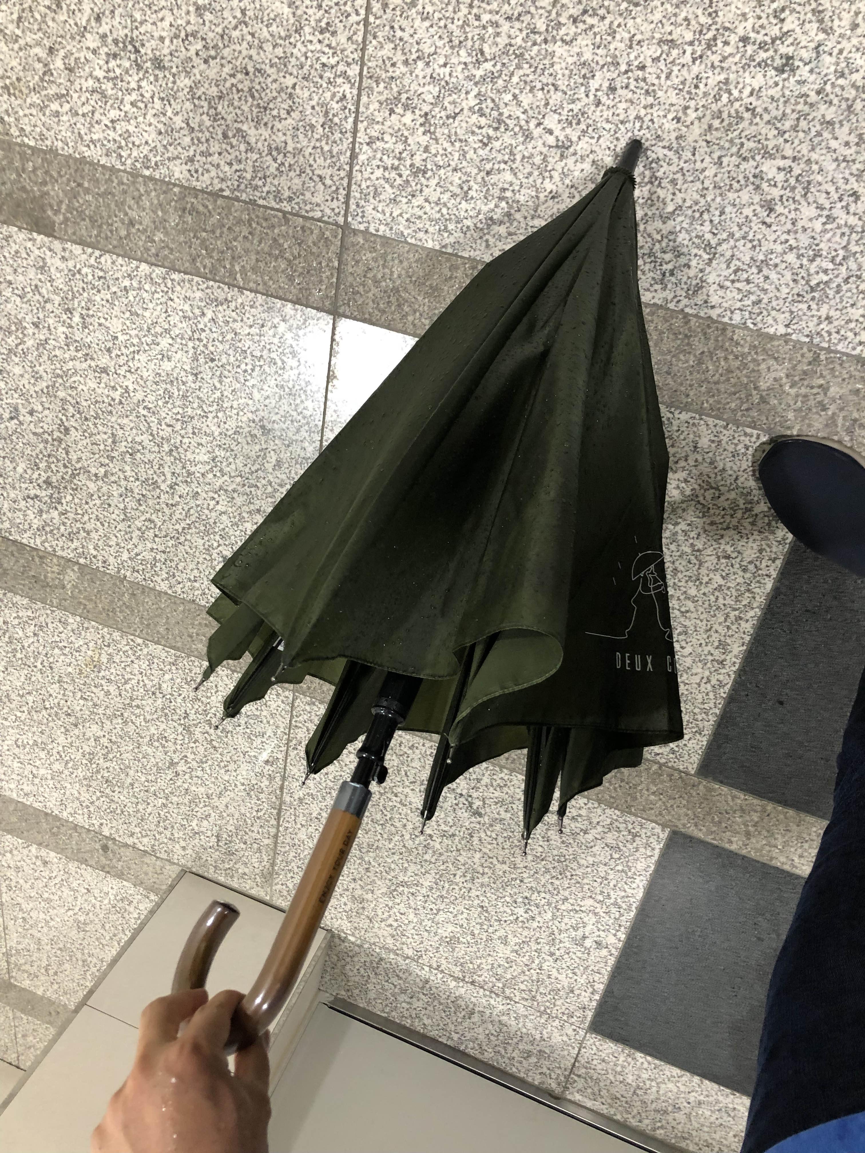 다이소, 장우산