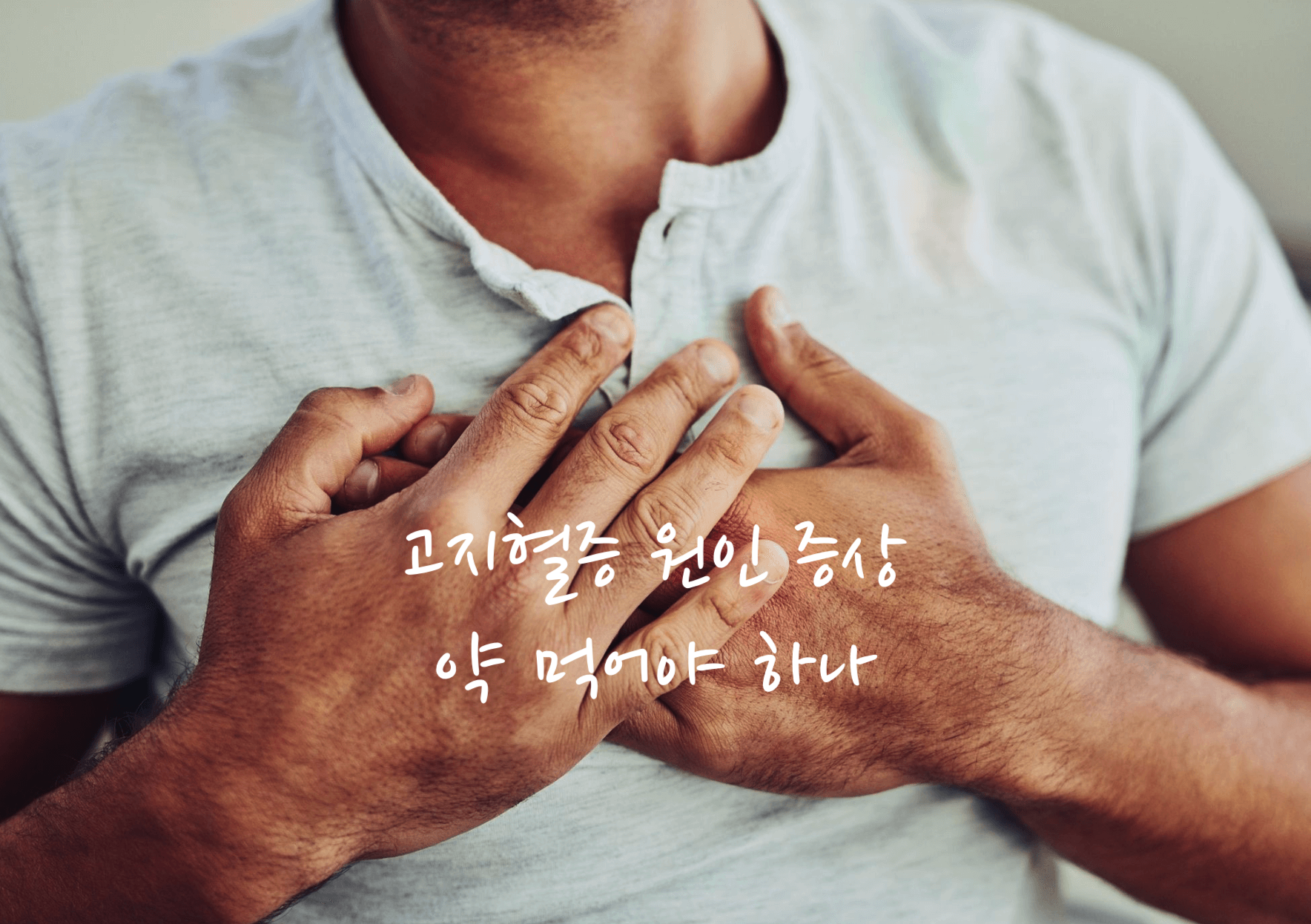 고지혈증