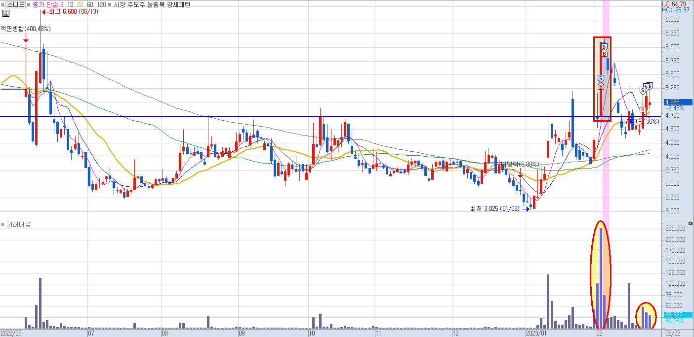 소니드 일봉 차트